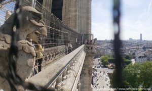 Türme Von Notre-Dame: Eintrittspreise, Öffnungszeiten, Rundgang | Paris ...